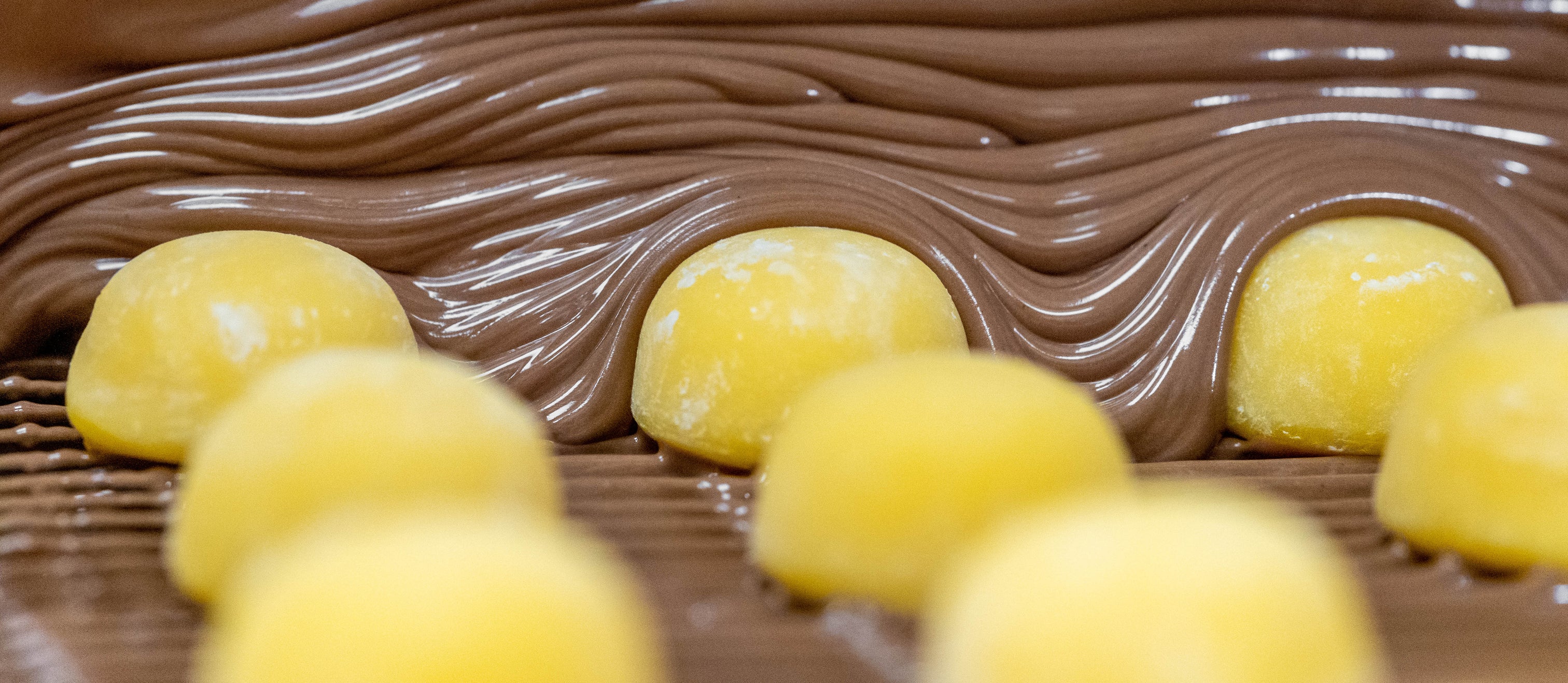 Century-Old Handcrafted Chocolate Perfection
